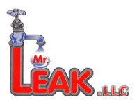Mr. Leak